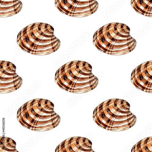 Watercolor illustration pattern round mussel seashell. Underwater world. Tropical shell. The outer frame is made of shellfish-type marzipan. Isolated on white. Hand-drawn.