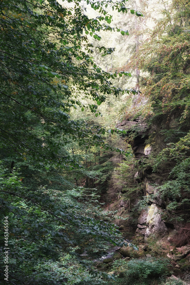 September in the Giant Mountains, a rock on the bank of a stream September in the Giant Mountains, a rock on the bank of a stream