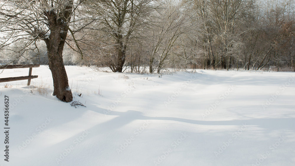 Snowy winter morning in the village..