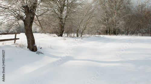 Snowy winter morning in the village.. © APHOTOSTUDIO