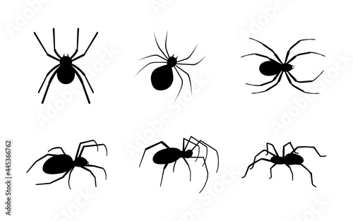 Collection of different spiders silhouettes.