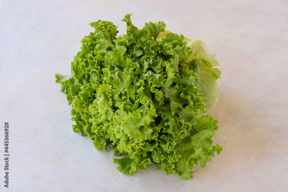 Curly lettuce on a white wooden background Curly lettuce on a white wooden background