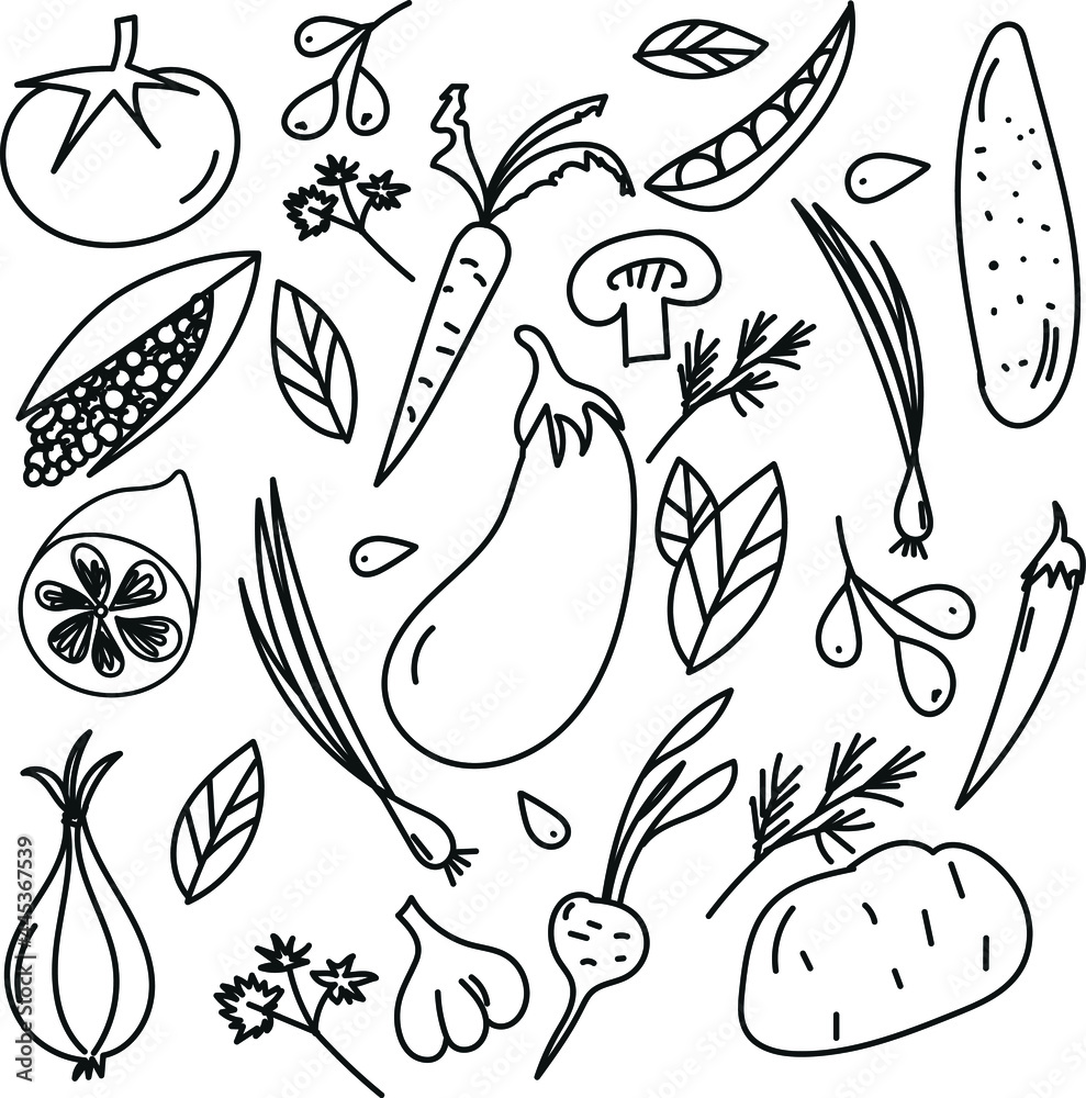 Vegetables doodle drawing collection. vegetable such as carrot, corn, mushroom, cucumber, potato, tomato etc. Hand drawn vector doodle illustrations in black isolated over white background.