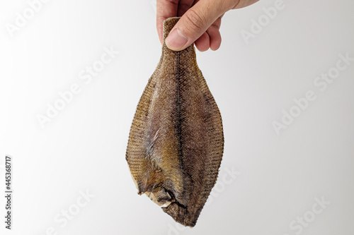 Fototapeta Naklejka Na Ścianę i Meble -  flat fish on a white background