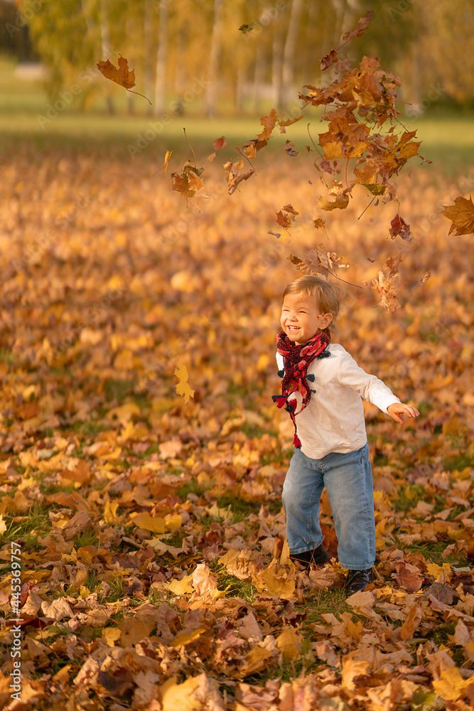 child playing with autumn leaves