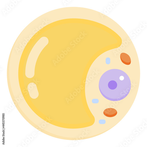 adipocyte flat icon photo