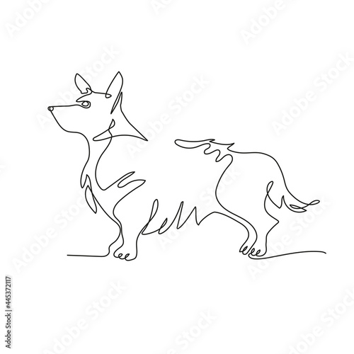 Welsh corgi pembroke. The dog is drawn in one line. Minimalistic graphics.