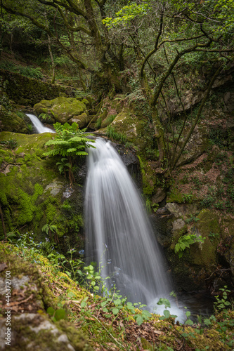 Beautiful water stream in Gresso river Portugal. Long exposure smooth effect. Scenic landscape with beautiful mountain creek with green water among lush foliage in forest. © anammarques