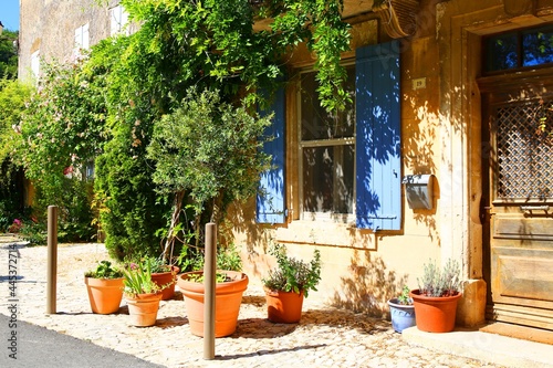 old house with flowers