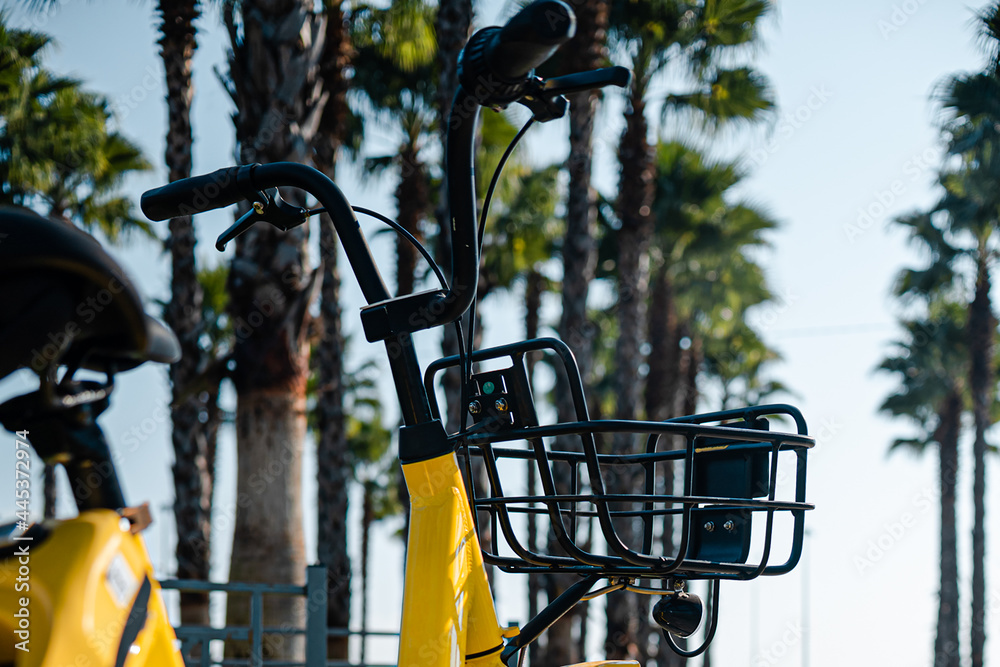 yellow bicycle close-up in the middle of tall palm trees