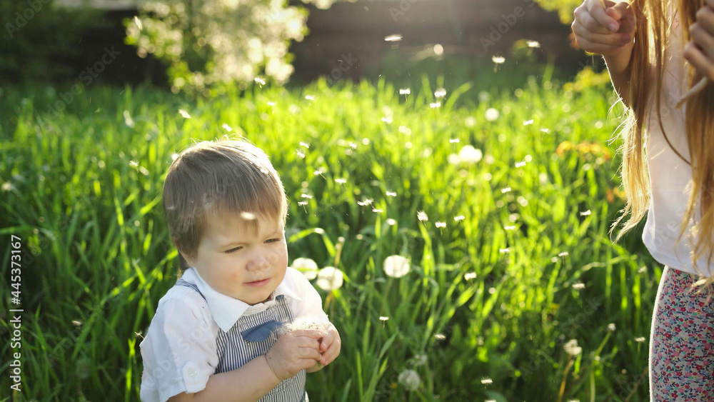 Brother and sister have fun playing with blooming white yellow and fluffy dandelions in a warm spring garden Brother and sister have fun playing with blooming white yellow and fluffy dandelions in a warm spring garden