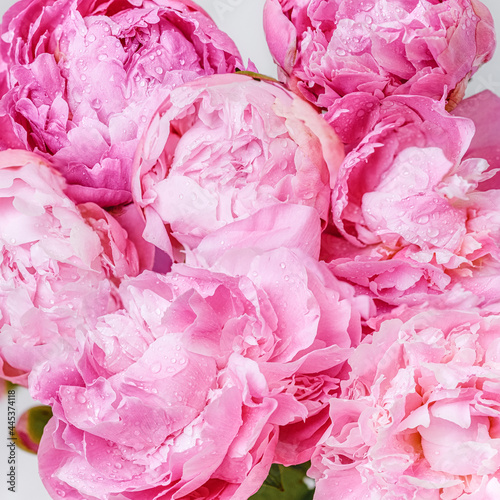 Fototapeta Naklejka Na Ścianę i Meble -  Bouquet of beautiful pink flowers. Peonies close-up. Selective focus image