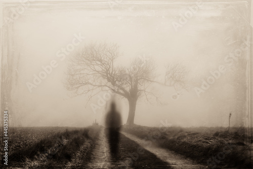 Canvas A ghostly blurred figure on a country path in winter