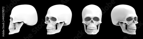 Set of images of white skulls on black background. 3d rendering skulls