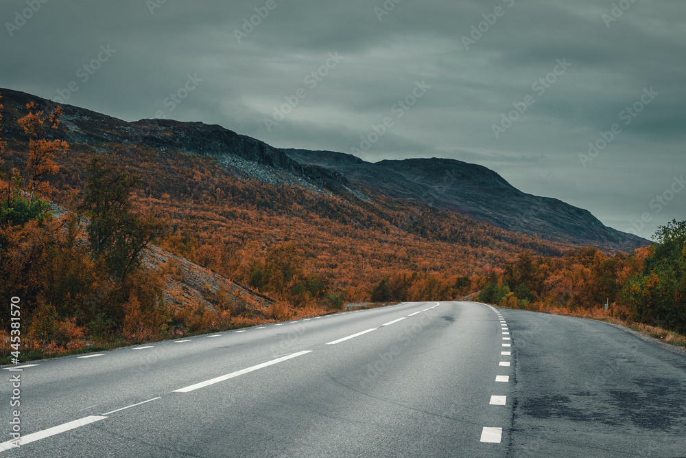 Naklejka road by a lake Tornetrask in the abisko national park in Sweden during golden autumn