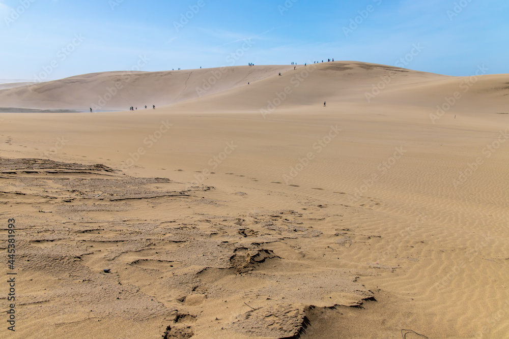 Beautiful landscape Tottori Sand Dunes (Tottori Sakyu), located near the city of Tottori in Tottori Prefecture, in sunny day with blue sky. They form the large dune system over 2.4 km in Sanin, Japan Beautiful landscape Tottori Sand Dunes (Tottori Sakyu), located near the city of Tottori in Tottori Prefecture, in sunny day with blue sky. They form the large dune system over 2.4 km in Sanin, Japan