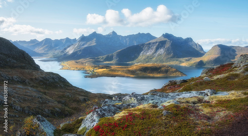 A narrow fjord in the mountains on the Lofoten Islands. Beautiful Autumn in polar Norway