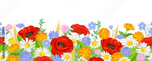 Summer flowers seamless border. Poppy, daisy, marigold, flax, clover and chicory. Vector illustration of wild flowers on blooming meadow in cartoon flat style. Floral pattern, garland.