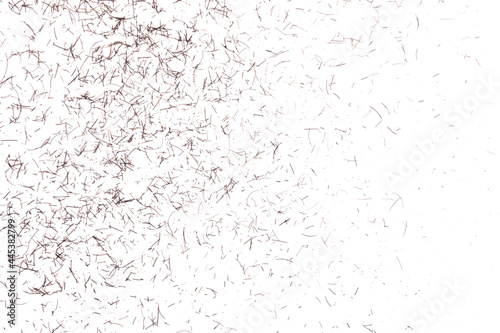 Tiny facial hair after shaving, isolated on white