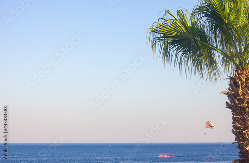 Fragment of a palm tree against the background of a blurred sea and sky boat a ship with a parachute rolls over the sea tourists, seascape summer vacation, selective focus