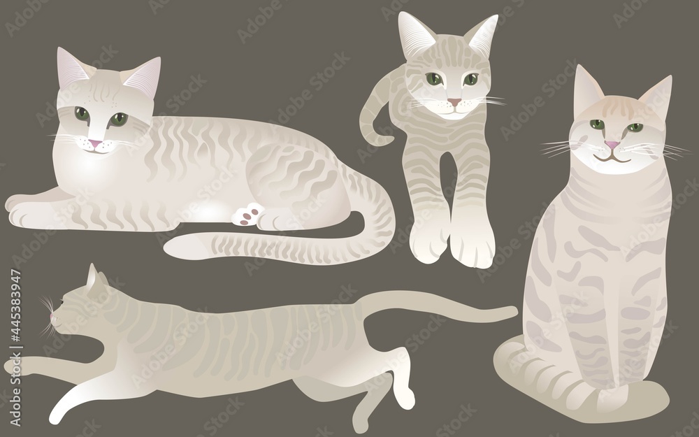 Cat Set, flat icons. Vector Illustration Cartoon