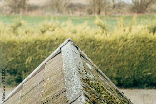 Closeup of a moldy roof of a house in front of a field. A moldy house roof covered with moss.