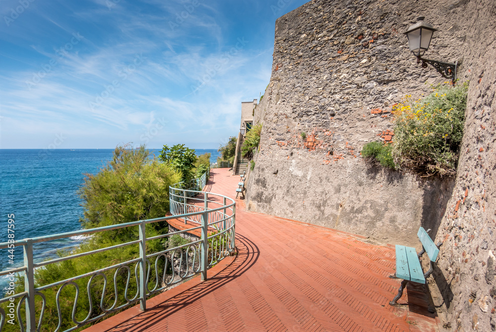 Fototapeta premium View of the beautiful promenade of Nervi in Genoa, with palm trees and bricks, Italy.