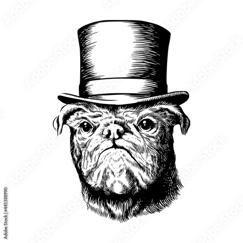 Pug dog in top hat black and white vector illustration