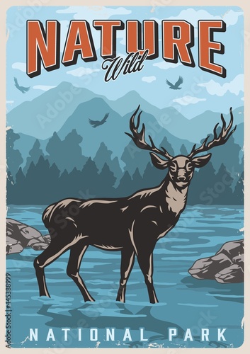 National park colorful poster