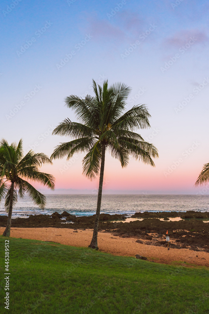 Hawaii Sunrise with palm trees, the perfect paradise
