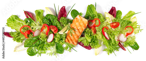 Grilled Salmon Fillet with fresh Salad - Lettuce Panorama isolated on white Background Panorama