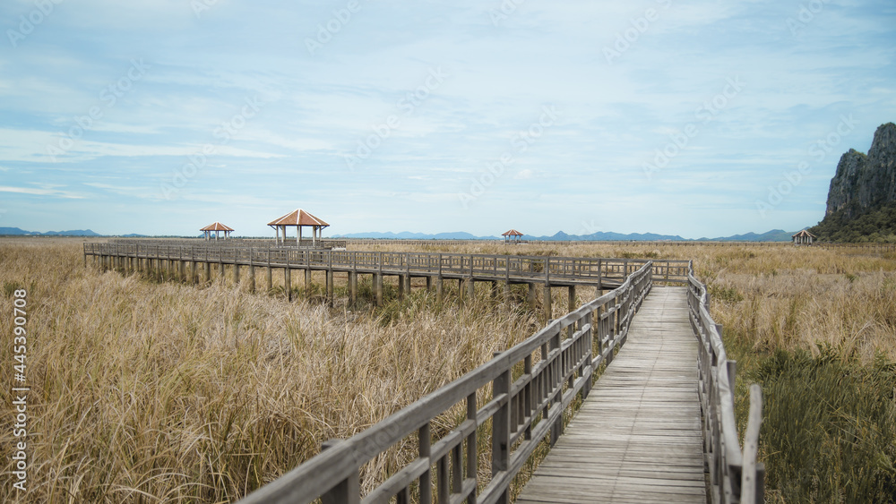 Fototapeta premium wooden bridge in the field