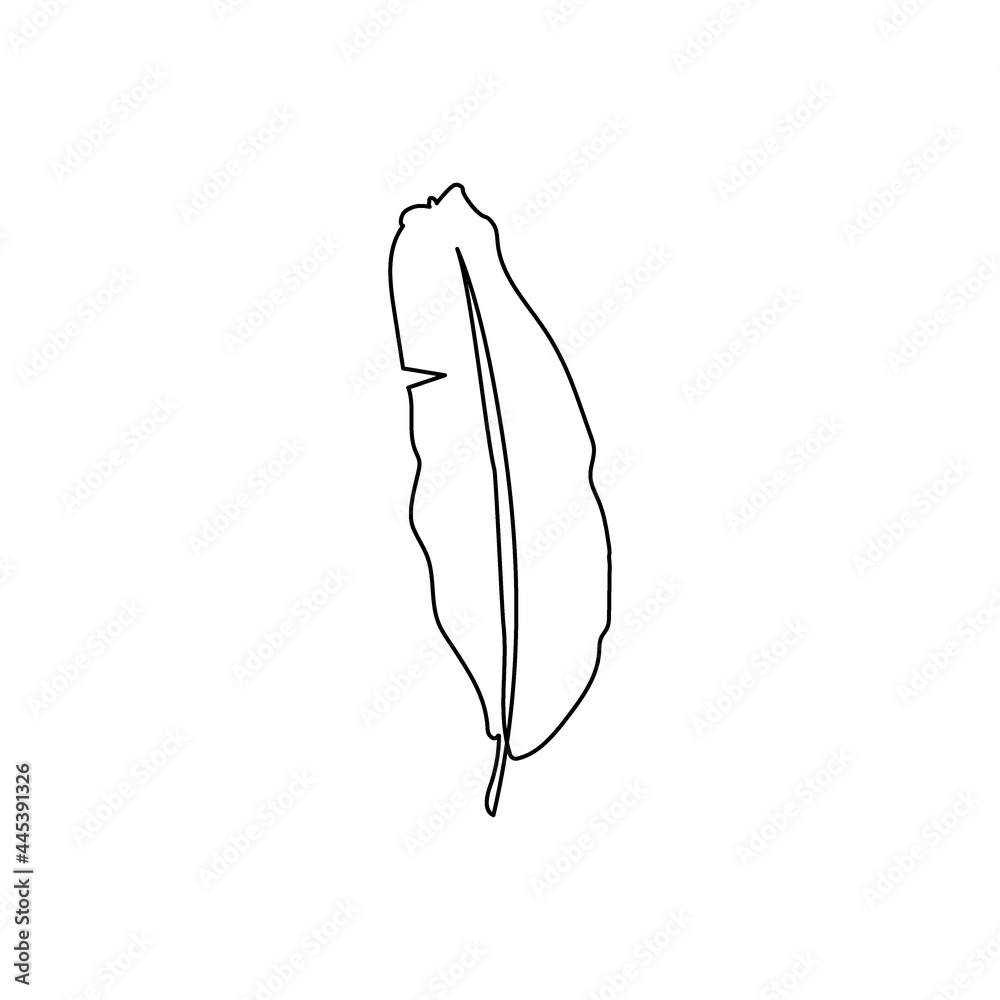 Banana palm leaf continuous line drawing. One line art of leaves, herb,tropical leaves, jungle
