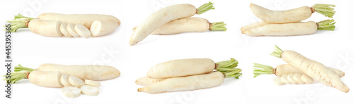 collection of white radishes isolated on white background