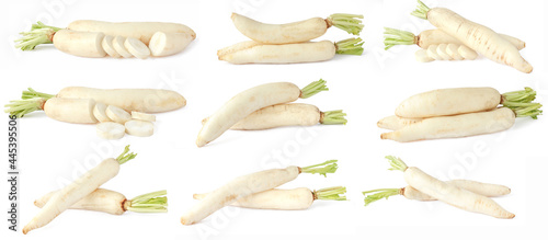 collection of white radishes isolated on white background