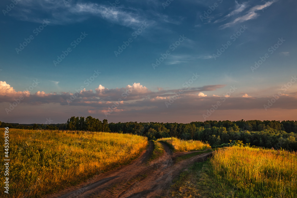 Summer evening landscape