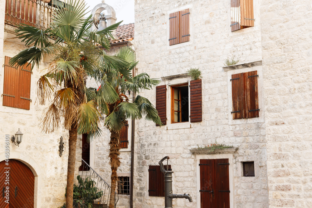 Fototapeta premium exotic palm trees against the background of ancient buildings in the old town.