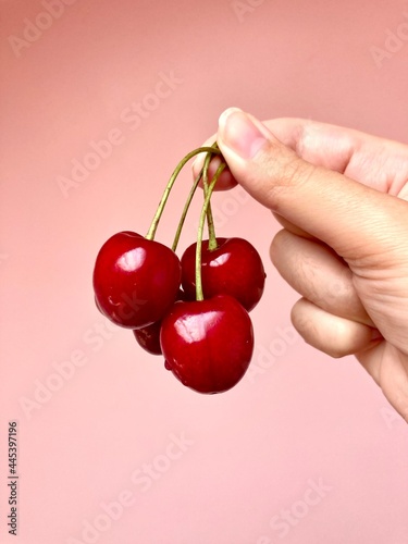 Cherries. The woman is holding sweet cherries in her hand. © Irina