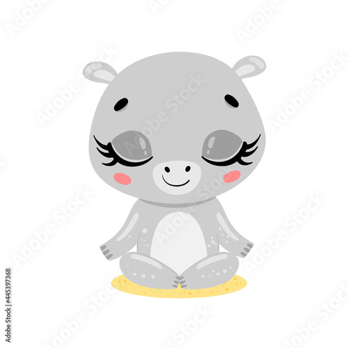 flat cute cartoon doodle hippo meditation. Tropical jungle safari animals meditate. Animals yoga