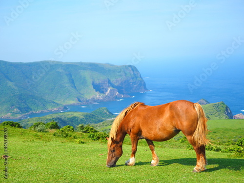 摩天崖と隠岐馬