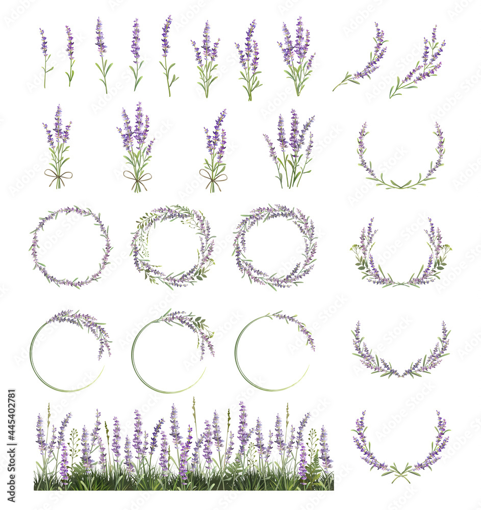 Large set of lavender sprigs, wreaths and frames. Lavender field. - obrazy, fototapety, plakaty 