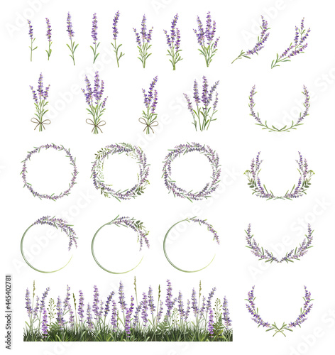 Large set of lavender sprigs, wreaths and frames. Lavender field. photo