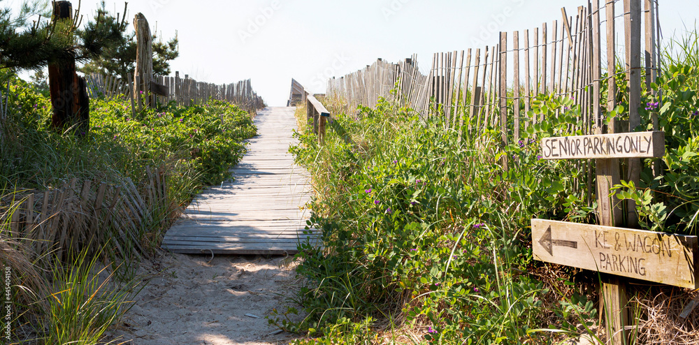 Wood walkway layed down on top of sand dunes leading to the beaches of Fire Island New York