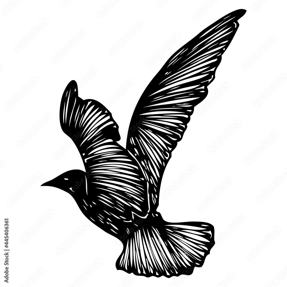 Isolated marine shape stroke silhouette of seagull bird flying in the air Inspirational body flash tattoo ink for sailor Vector. Stock Vector
