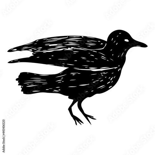 Seagulls bird, nautical sailor tattoo sketch. Black stroke of flying sea gull silhouette on white background. Marine drawings shape of water bird in vector.