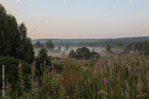 July morning. Dawn Fog
