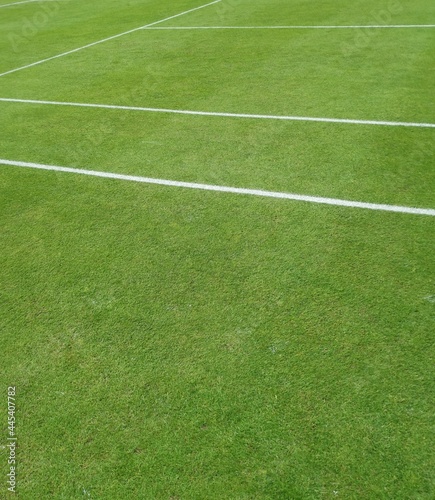 View of grass tennis court and painted white line markings