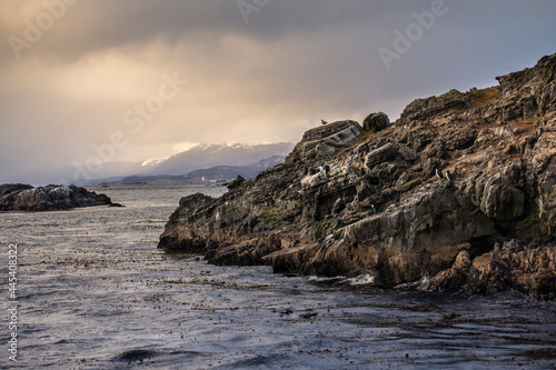 Part of a desertic rock island with ground layers and sea birds like seagulls and cormorants in Ushuaia, Tierra del Fuego, Argentina. Cloudy sky becomes a little orange because of the sunset