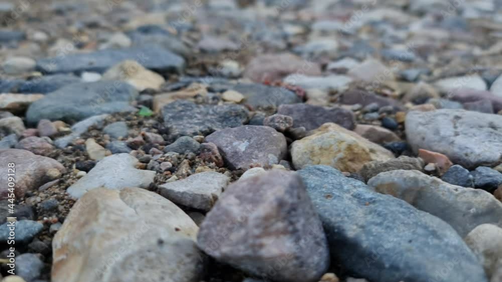 Small stones on the road. Pebbles close up. Small stones on the road. Pebbles close up.