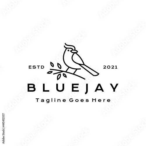 Line art Blue jay bird logo design vector illustration photo